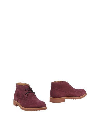 Сапоги TOD'S