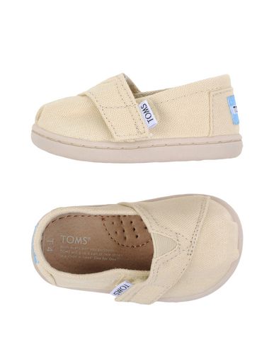 Кеды TOMS