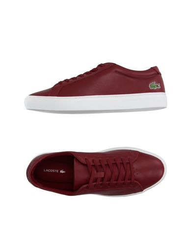 Кеды LACOSTE
