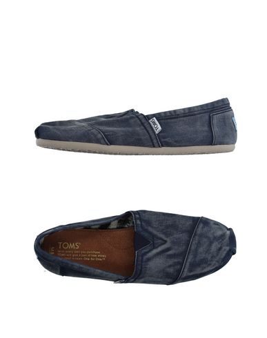 Кеды TOMS