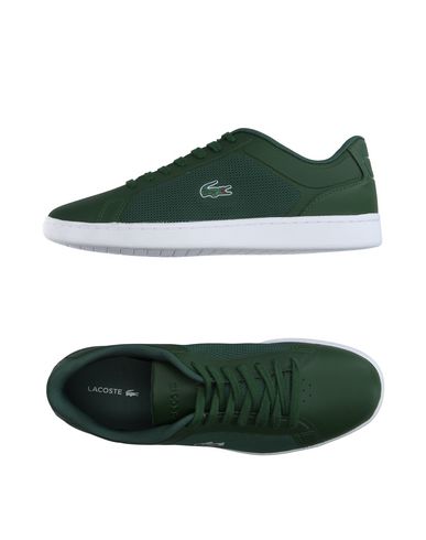 Кеды LACOSTE
