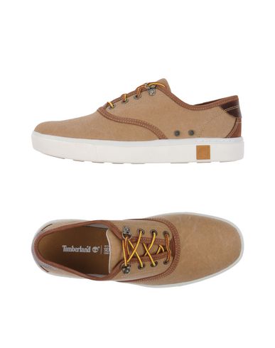Кеды TIMBERLAND