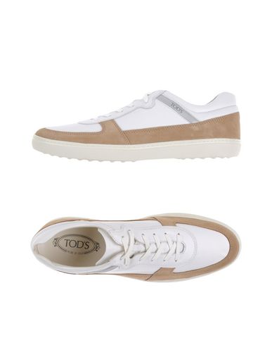 Кеды TOD'S