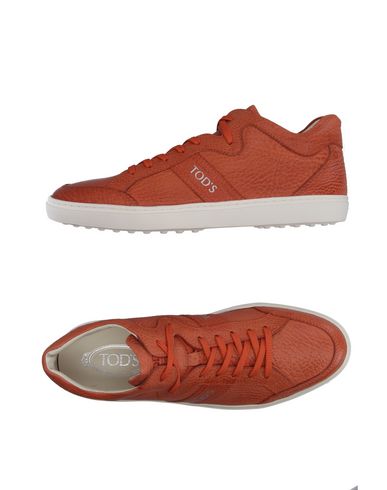 Кеды TOD'S
