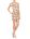 Camel Camel