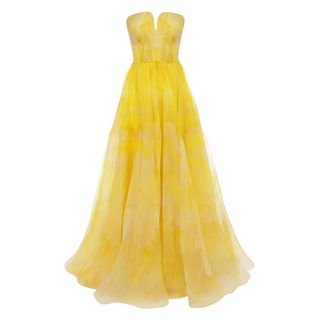 ALEXANDER MCQUEEN, Long Dress, Poppy Print Organza Bustier Dress