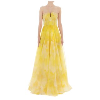 ALEXANDER MCQUEEN, Long Dress, Poppy Print Organza Bustier Dress