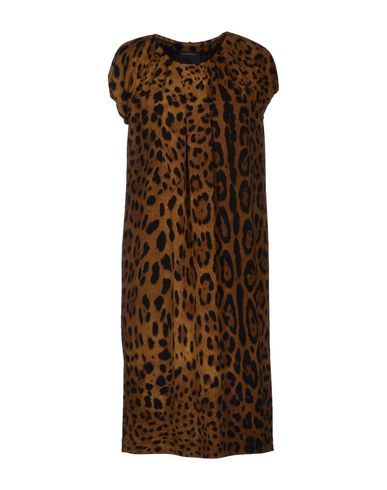 ZOOM CLASS ROBERTO CAVALLI - Knee-length dress
