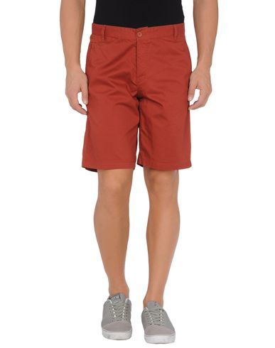 ZOOM WESC - Bermuda