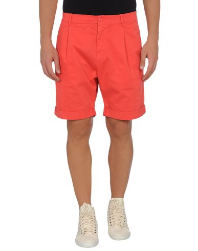 ZOOM D&G - Bermuda