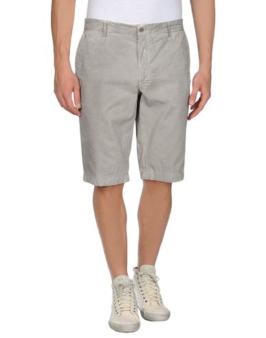 ZOOM D&G - Bermuda