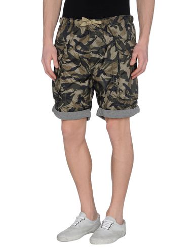 ZOOM D&G - Bermuda