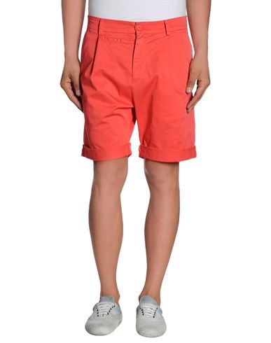 ZOOM D&G - Bermuda