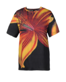 CHRISTOPHER KANE - Short sleeve t-shirts