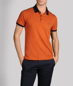 ARMANI COLLEZIONI - Polo