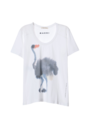 MARNI - Short Sleeve T-Shirt