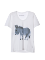 MARNI - Short Sleeve T-Shirt