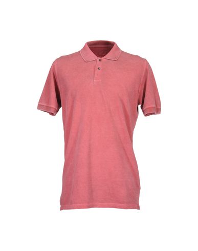 ZOOM ALPHA - Polo shirt