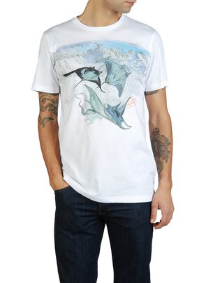 T's & Tops 55DSL: T-MIGRATION