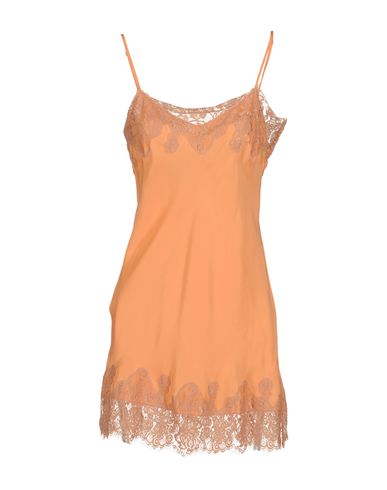 ZOOM GOLD HAWK - Top
