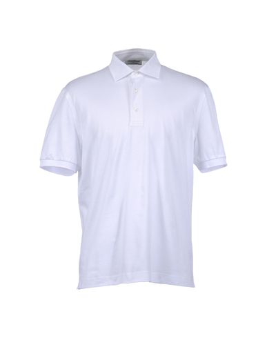 ZOOM DELLA CIANA for D'ANIELLO - Polo shirt