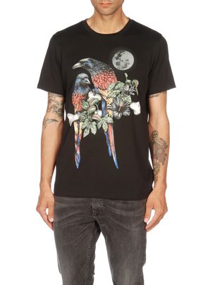 Tops 55DSL: TARROTS