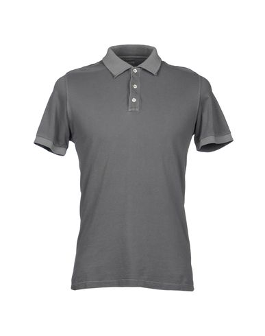 ZOOM COAST,WEBER & AHAUS - Polo shirt