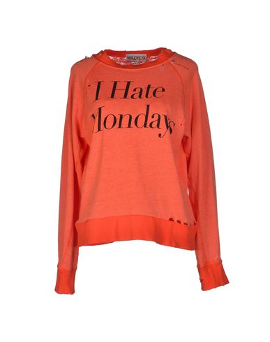 ZOOM WILDFOX - Sweatshirt