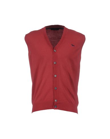 ZOOM HARMONT&BLAINE - Sweater vest