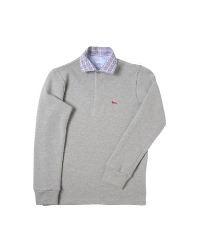ZOOM HARMONT&BLAINE - Polo sweater