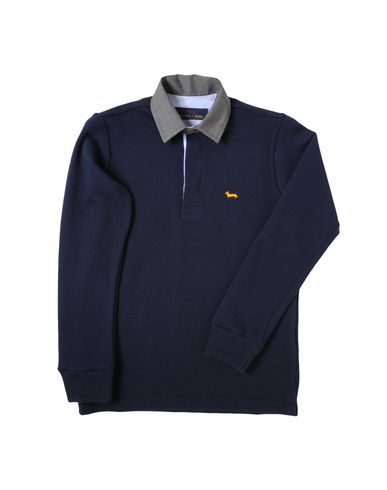 ZOOM HARMONT&BLAINE - Polo sweater