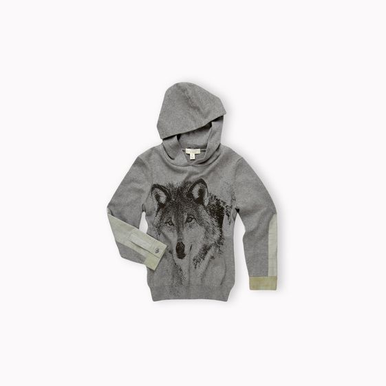 Stella McCartney, Cosmo hoodie