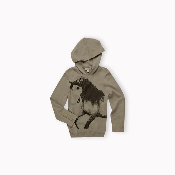 Stella McCartney, Cosmo hoodie