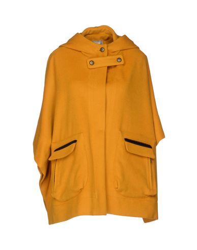 ZOOM HOSS INTROPIA - Cape