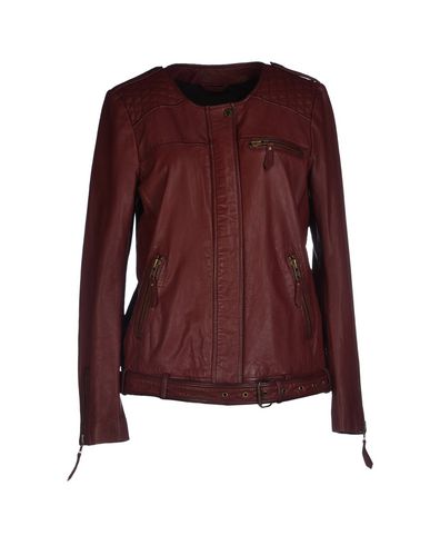 ZOOM TWIST & TANGO - Jacket
