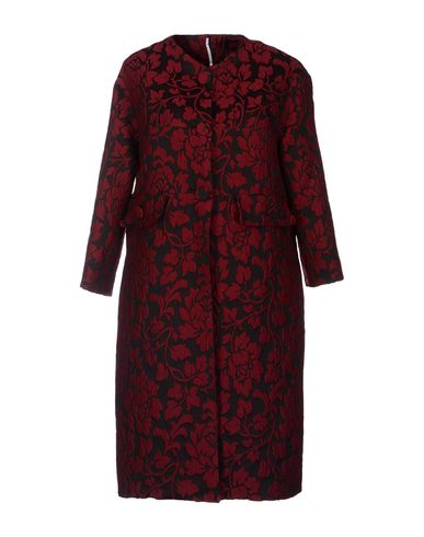 ZOOM LAVINIATURRA - Coat