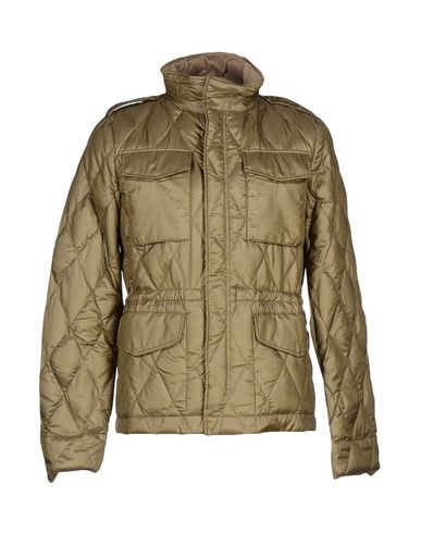 plumiferos hombre puma plumiferos hombre puma