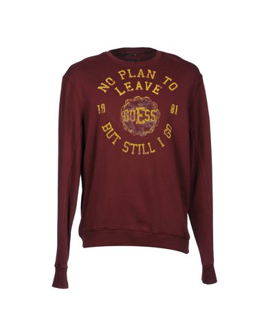ZOOM GUESS - Sweatshirt