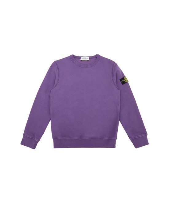 Sweatshirt Men Stone Island - Official Store