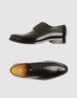 POLLINI - true