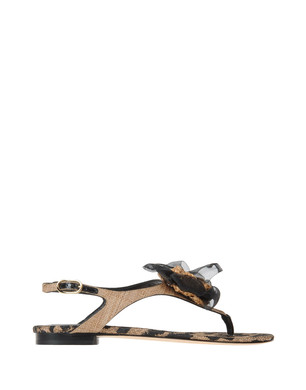 Flip flops Women's - DOLCE & GABBANA