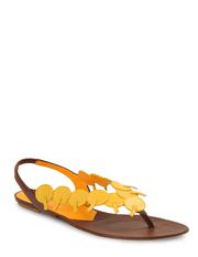 ALBERTA FERRETTI - Flip flops