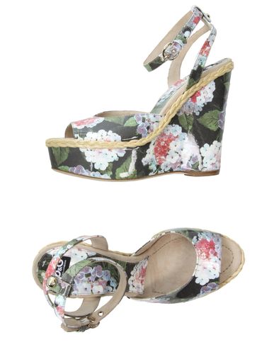 ZOOM D&G - Wedge