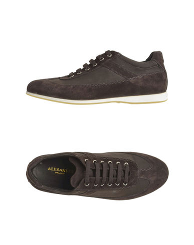 ZOOM ALEXANDER - Trainers