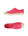 Fuchsia Fuchsia