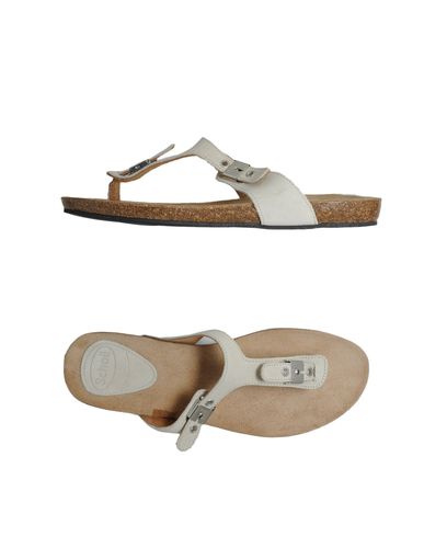 ZOOM SCHOLL - Thong sandal