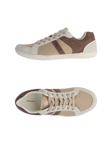 ZOOM GANT - Low-tops