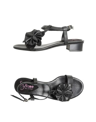 ZOOM MY ROSE - Sandals