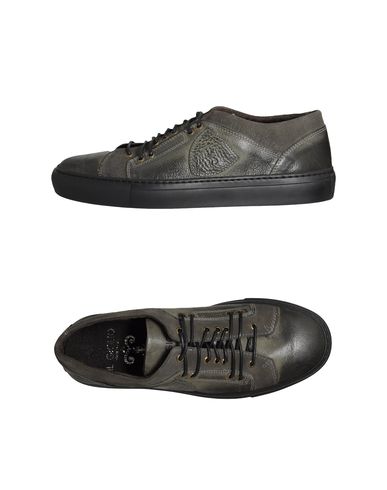ZOOM IL GIGLIO - Trainers