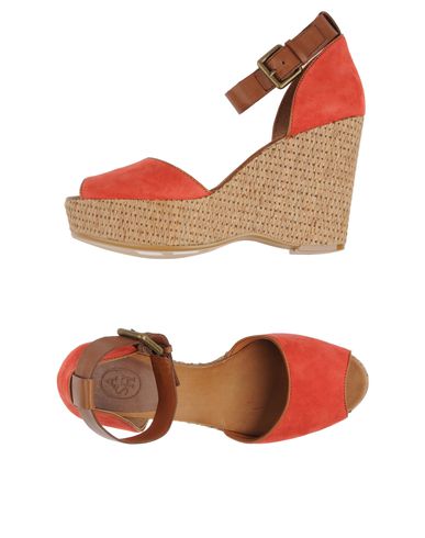 ZOOM ASH - Wedge